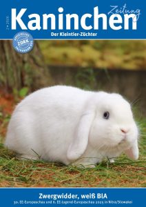 K02_2026_01_Titelseite