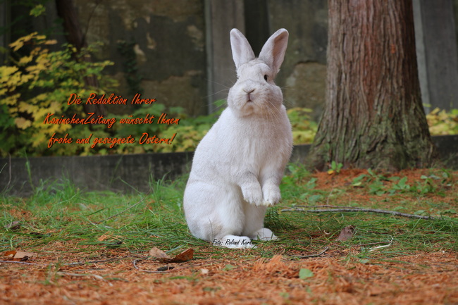 Frohe Ostern!