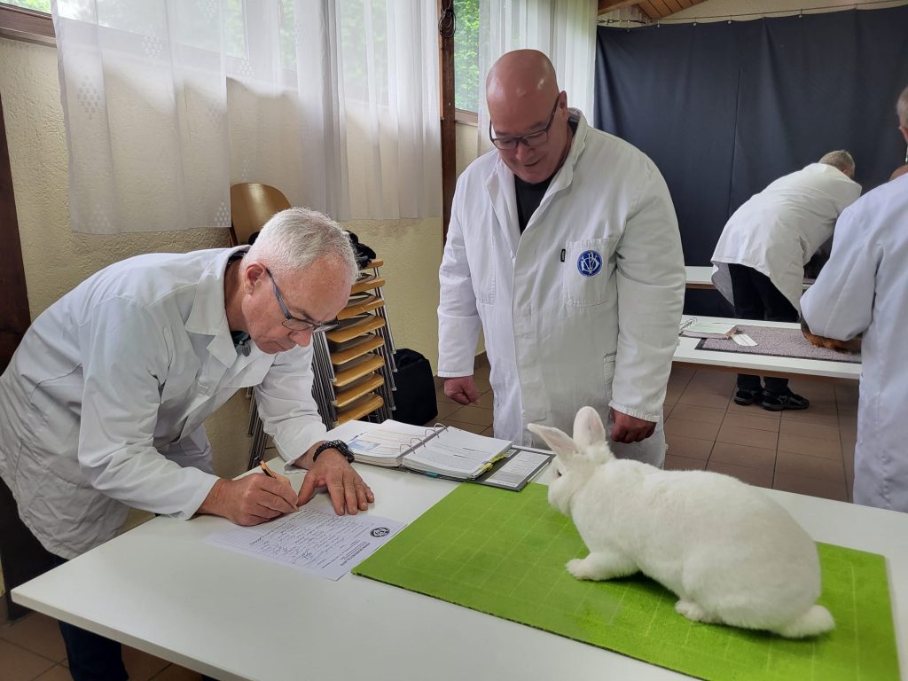 DPV-Tagung 2026 in Bayreuth, Lehre und Schulung; Foto: Marco Zinke