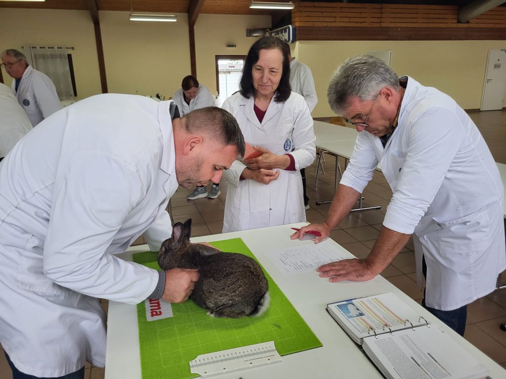DPV-Tagung 2026 in Bayreuth, Lehre und Schulung; Foto: Marco Zinke