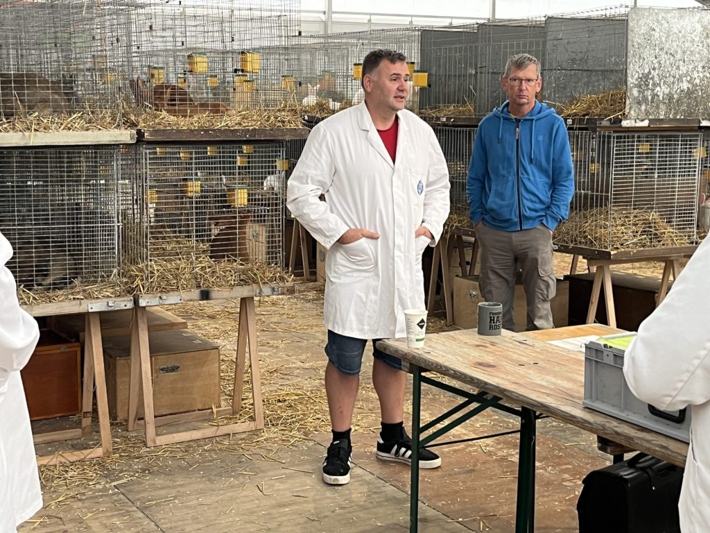 Jungtierschau LV Mecklenburg-Vorpommern 2026 in Mühlengeez