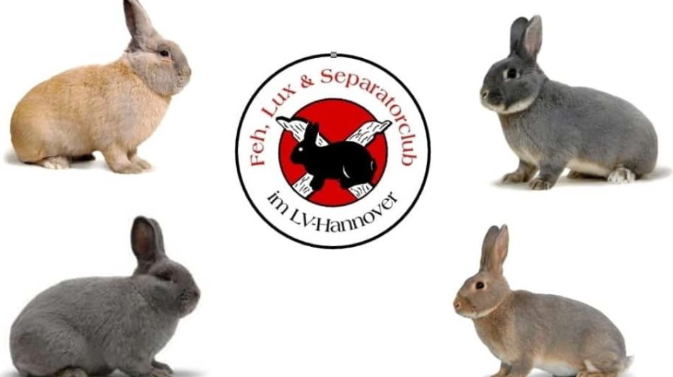 29. Feh-, Lux- und Separator-Club-Vergleichsschau 2026 in Twistringen