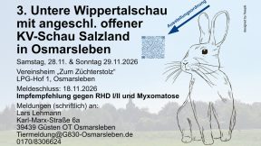 3. Untere Wippertalschau