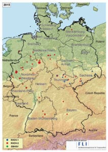 RHD-RHDV-2 – Alles was Sie dazu wissen sollten – Kaninchenzeitung