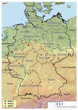 Stand 2015: RHDV-2: 148; RHDV: 20; EBHSV*: 1 (©FLI)