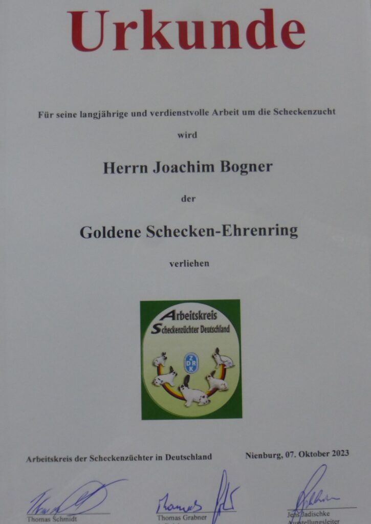 48. Schecken-Club-Vergleichsschau 2023 in Nienburg (7)