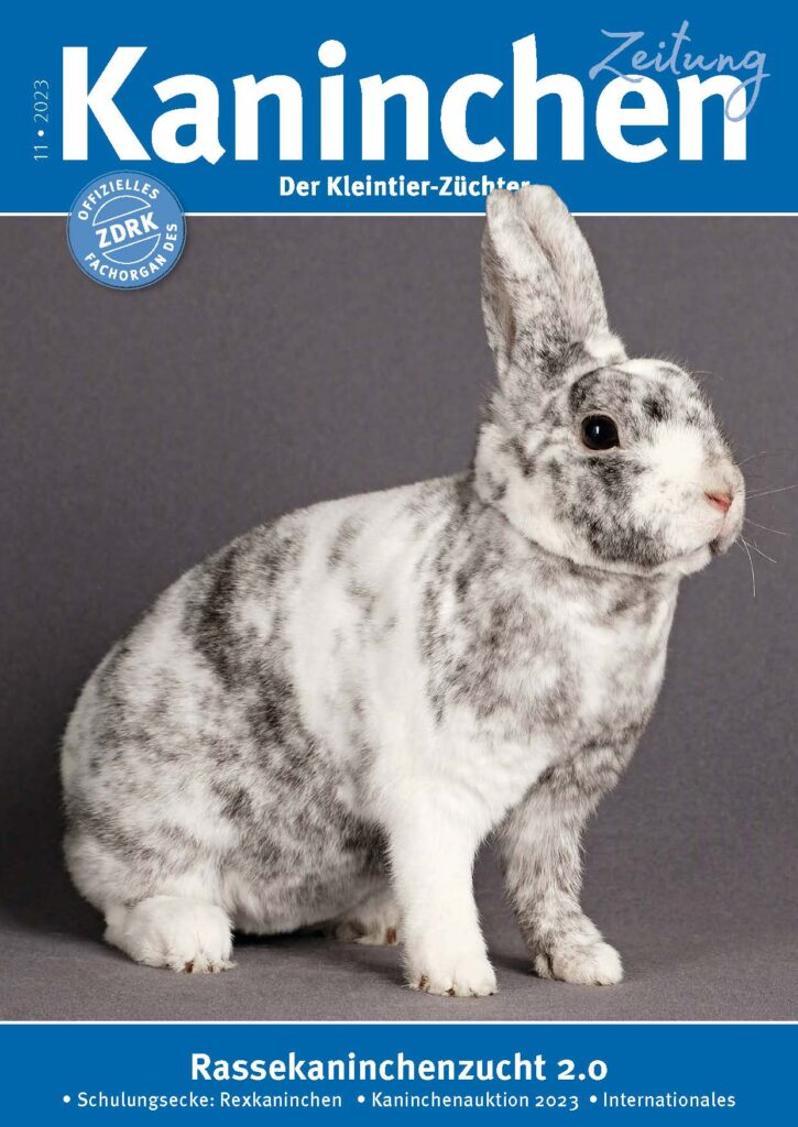 Titelseite KaninchenZeitung 11/2023